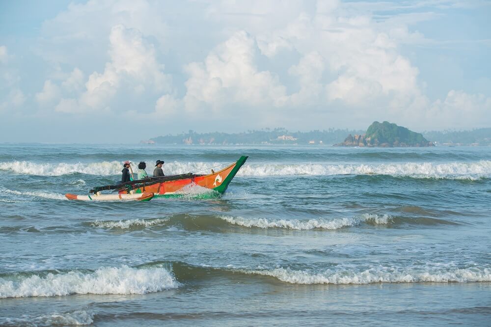 Discover the Magic of Whale Watching Near Mirissa’s Stunning Coastline